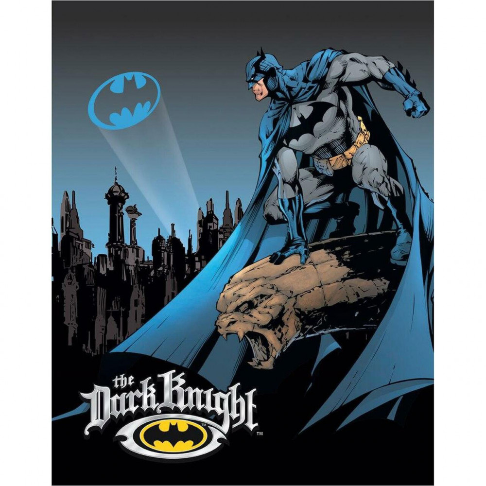 Batman Dark Knight