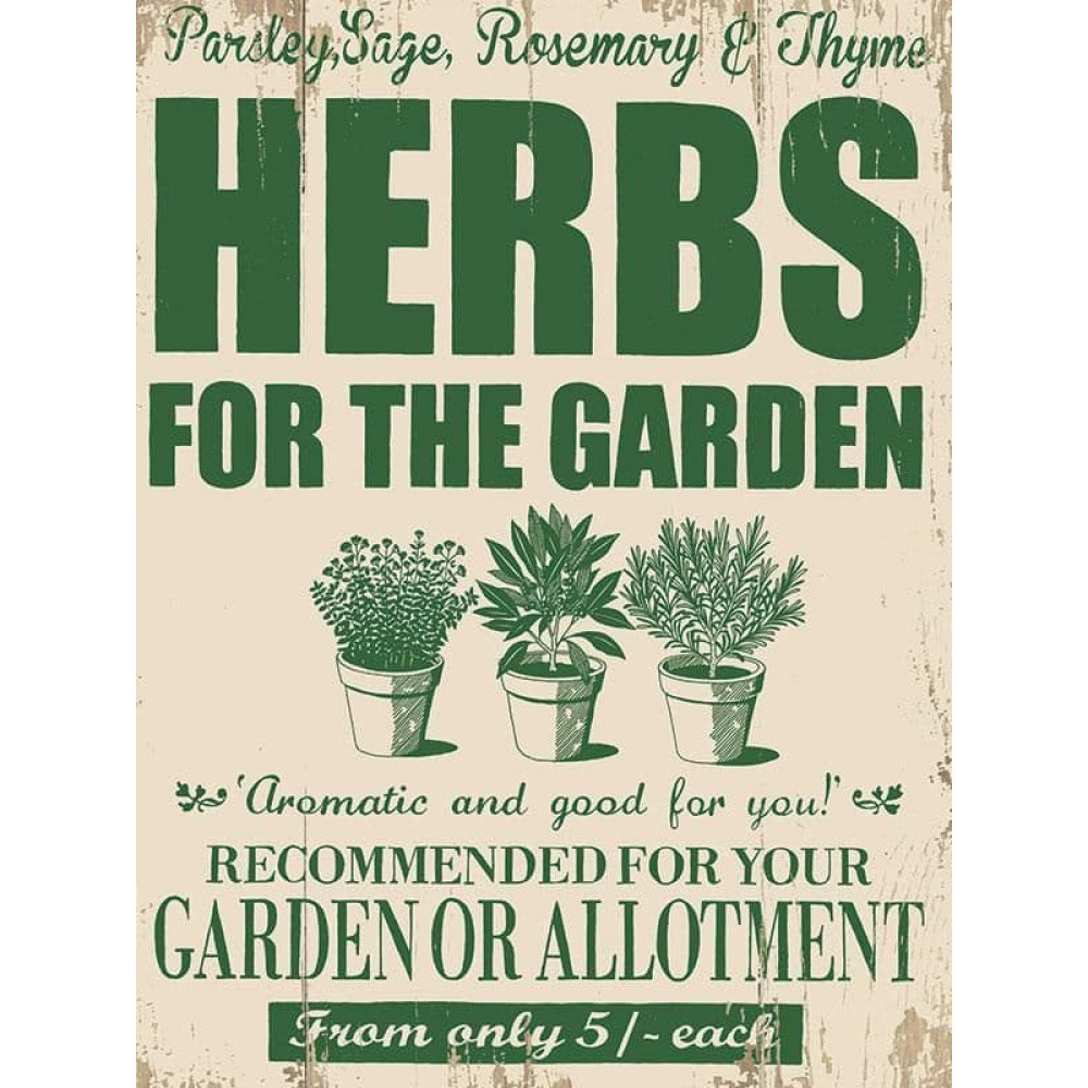Herbs For The Garden