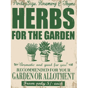 Herbs For The Garden
