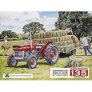 Massey Ferguson 135 Trattore