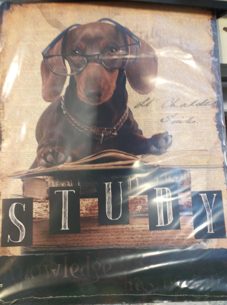 DOG STUDY