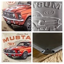 Targa Metallica Ford Mustang '67