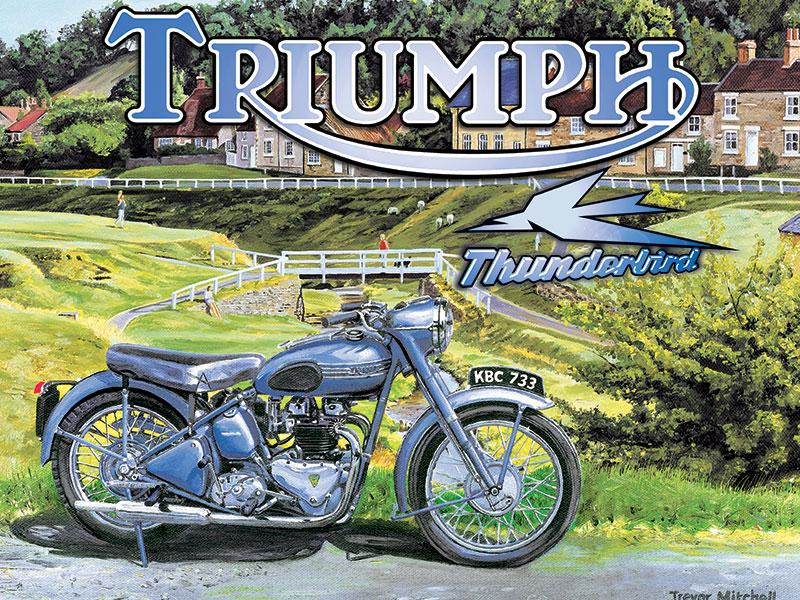 Triumph Thunderbird