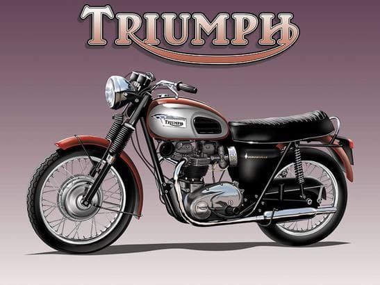 [966522000212] Triumph