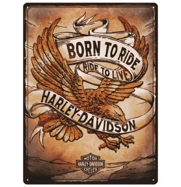 Harley Davidson - Born to Ride Eagle
