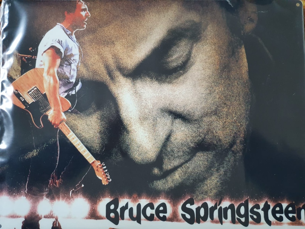 Targa Metallica Bruce Springsteen Concert