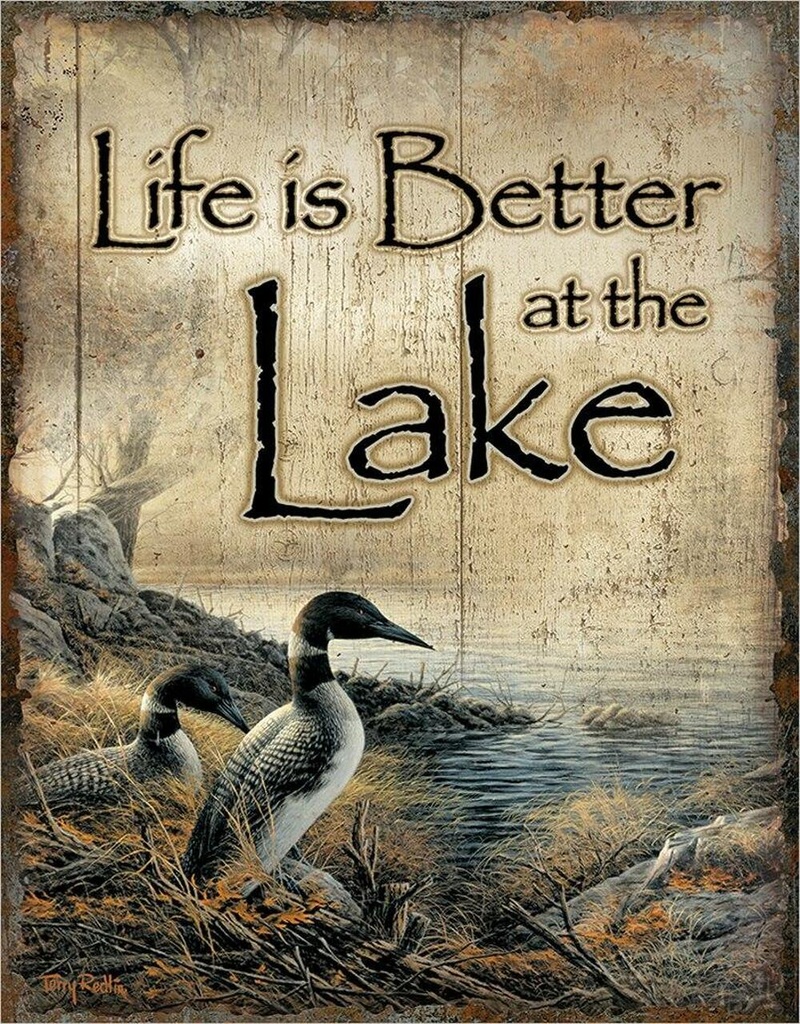[605279123230] Life's Better - Lake