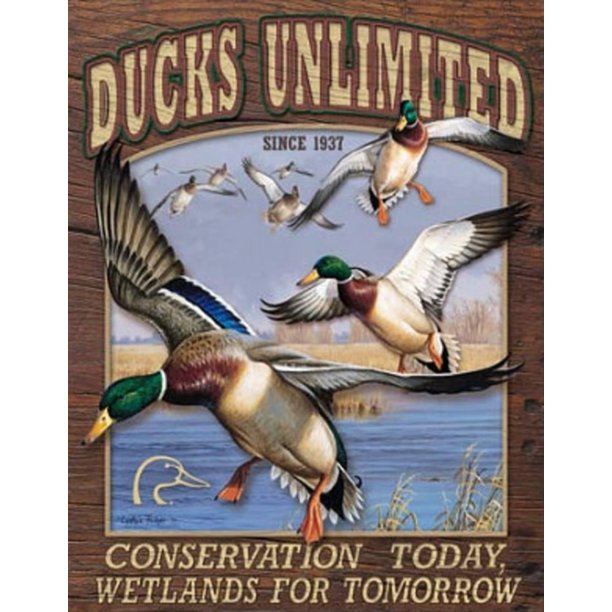 Ducks Unlimited Conservation Wetlands