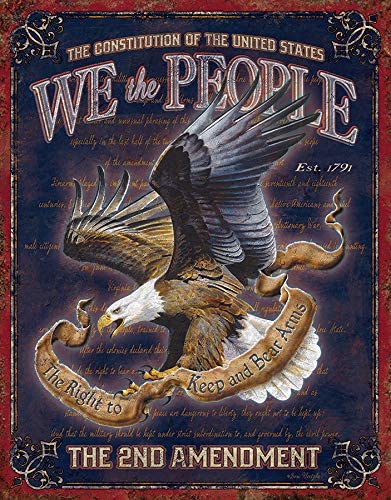 [605279119929] We The People - 2nd Amendment