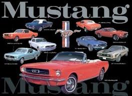 Mustang Collage