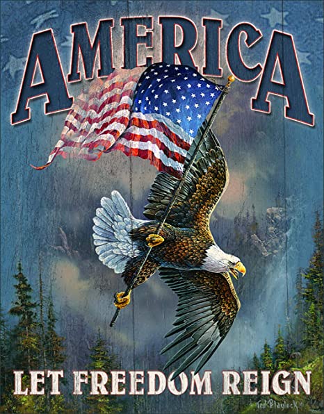 America Let Freedom Reign