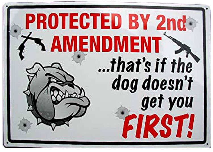 [0019816291] Protected By 2nd Amendament Dog