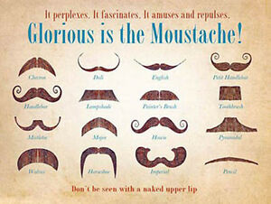 Barber Glorious Is The Moustache