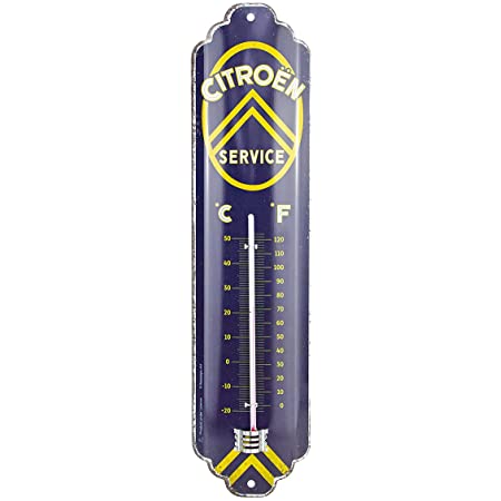 Termometro Citroen  Service