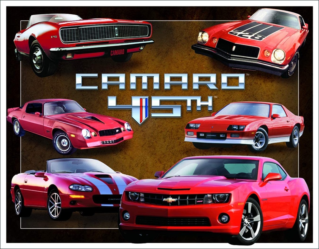 [9416684561] Camaro 45th