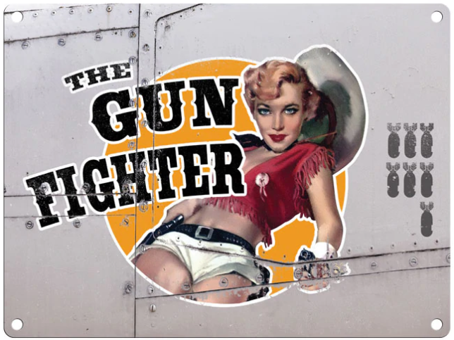 The Gun Fighter