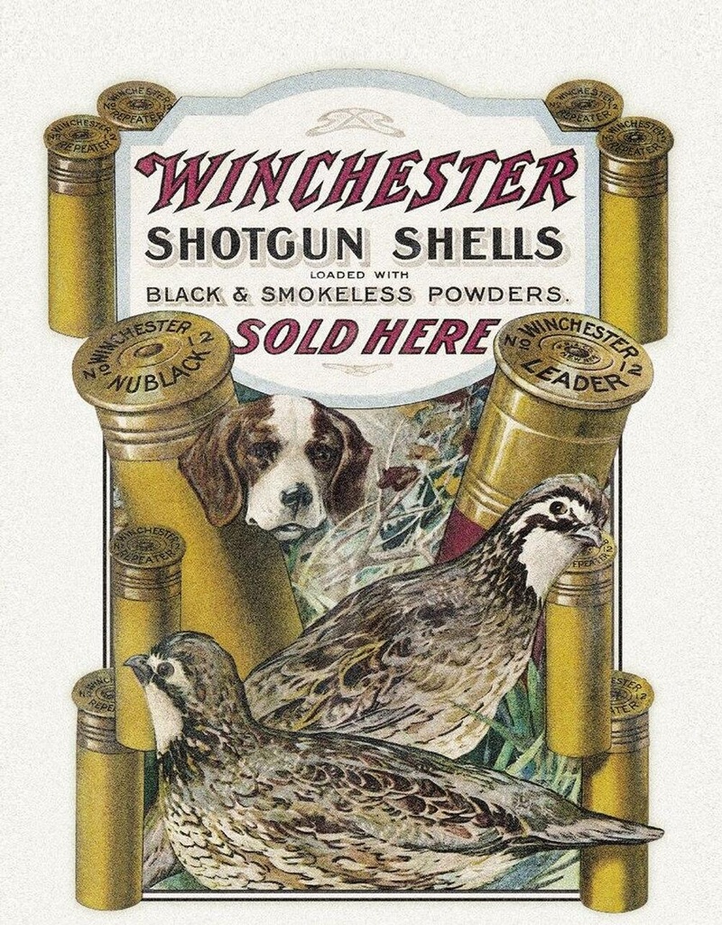 [605279109401] WINCHESTER SHOTGUNS
