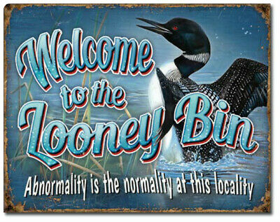 [605279122509] Looney Bin 