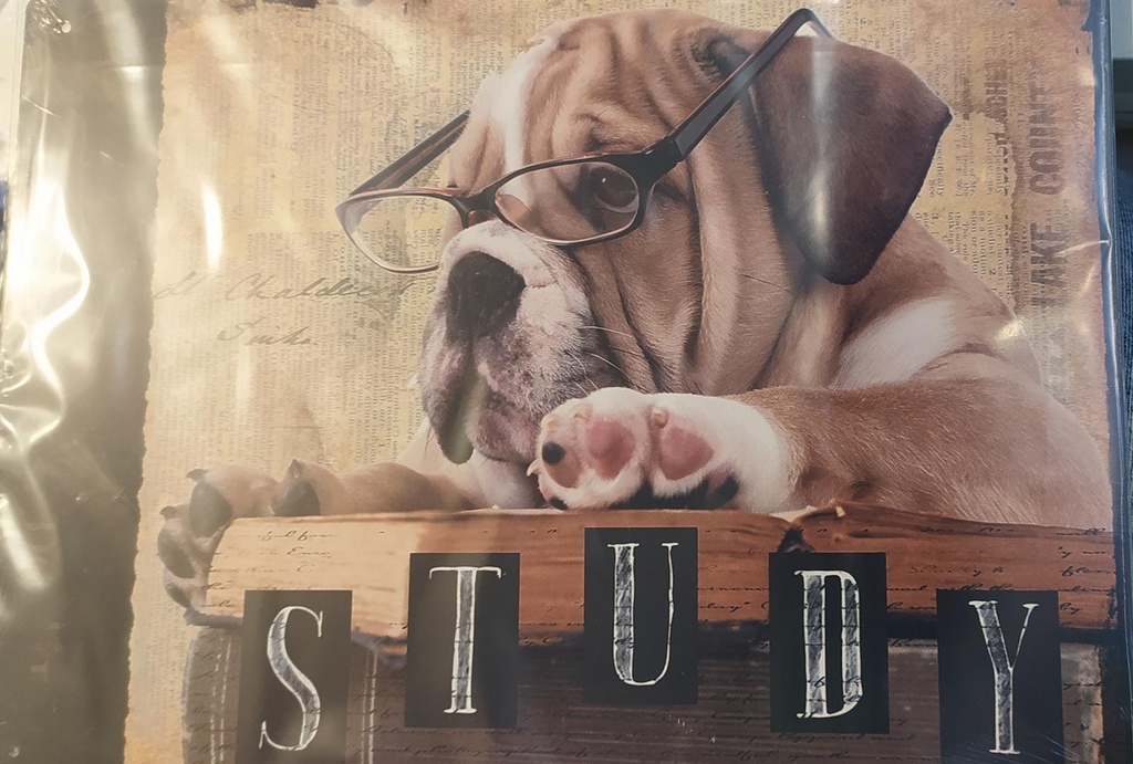 [94194654651] Dog Study