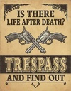 Is There Life After Death
