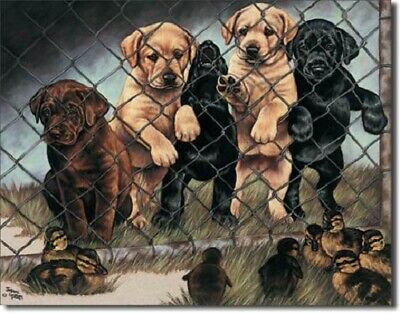 [605279109135] Puppies and Ducklings