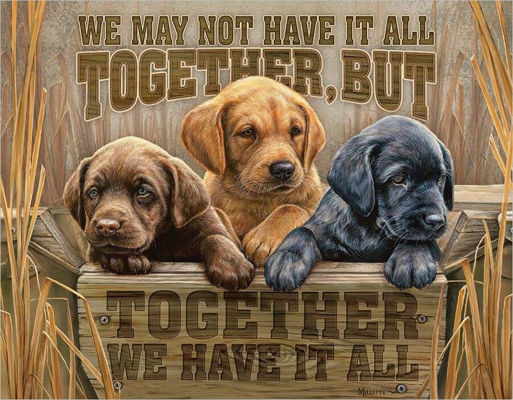 [605279123254] Together we Have it All
