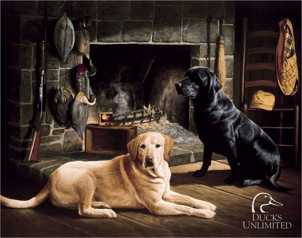 [605279110384] Waiting at  Creek