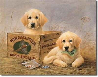 [605279112012] WINGMASTER