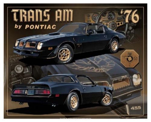 [680041388666] Pontiac Trans Am  76