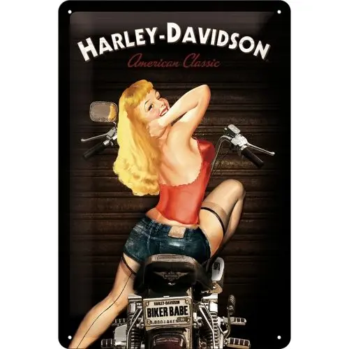 Harley Davidson Biker Babe