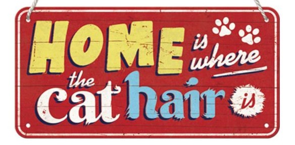 Home is Where the Cat Hair is