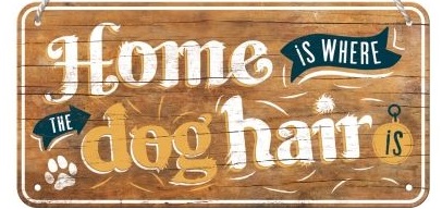 Home Is Where The Dog Hair Is