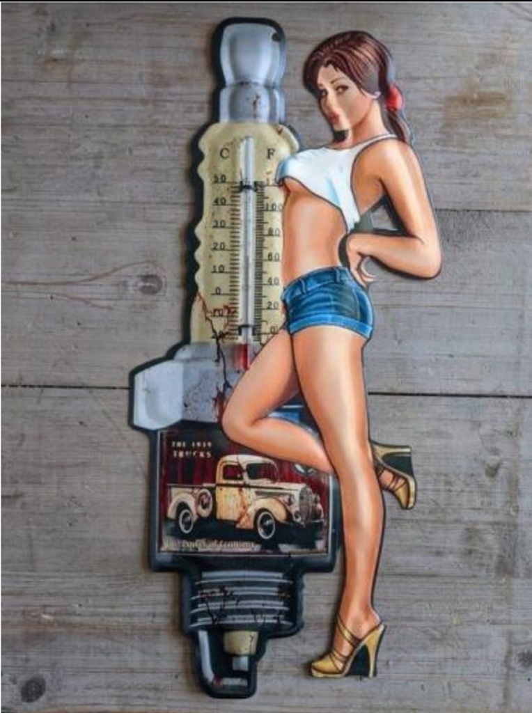 Thermometer Pin-Up 