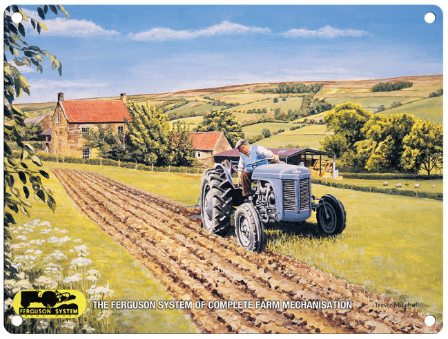 Ferguson Mechanisation - Blue