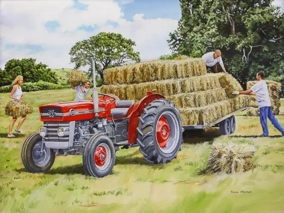 Massey Ferguson 135 