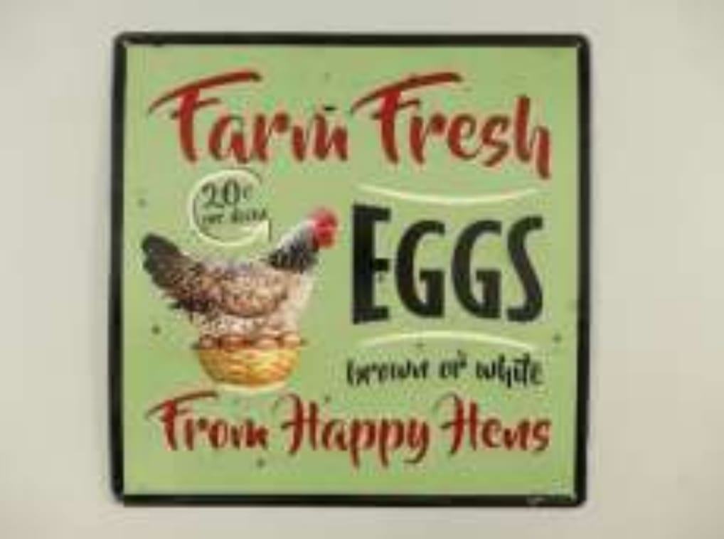 FARM FRESH EGGS CM 40X40