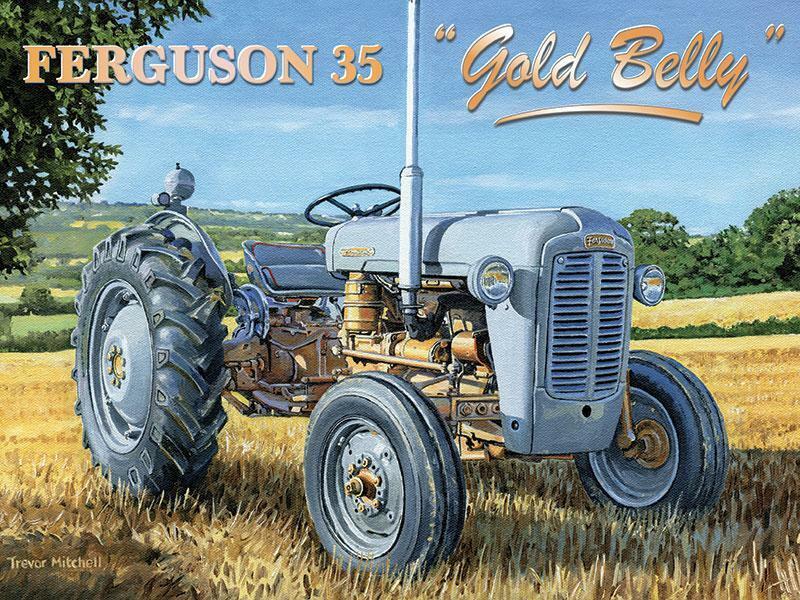 [5252255584552] Ferguson 35 " Gold Belly "
