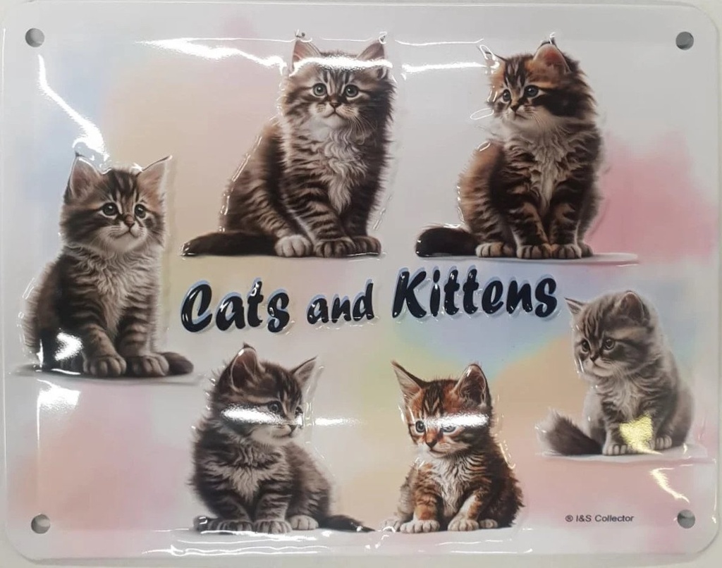 Targa Metallica Cats and Kittens