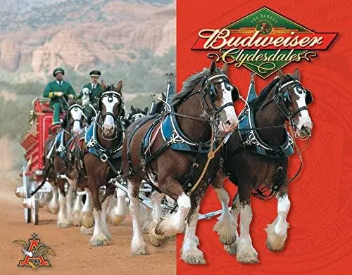 Budweiser - Clydesdales 