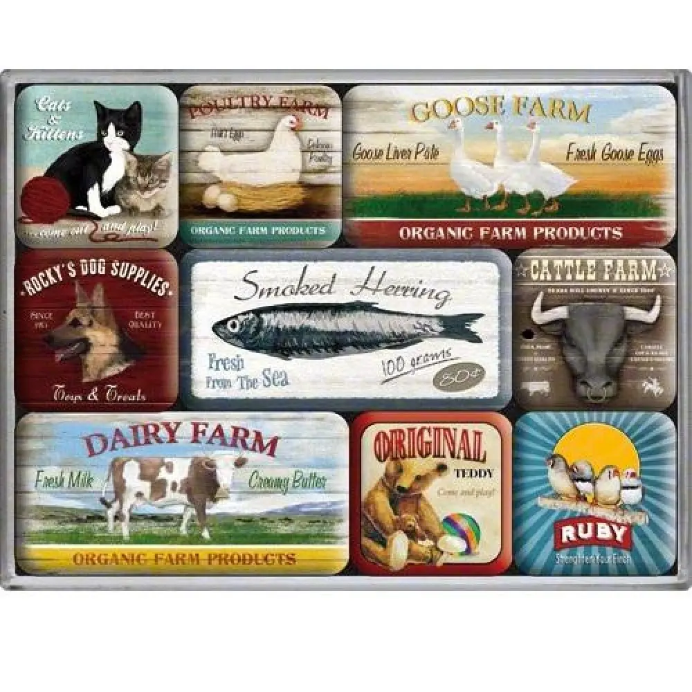 Targa Metallica Animal Club Calamite Set 9 Pezzi