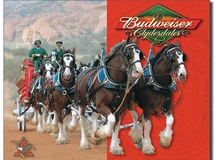 [987321958] Targa Metallica Budweiser Beer
