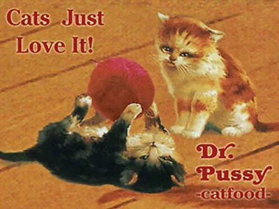 Magnet Dr. Pussy 6 cm x 8 cm