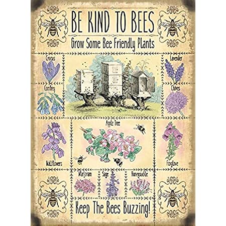 [436244234245] Targa Metallica Be Kind To Bees