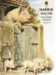 Targa Metallica Harris Bacon