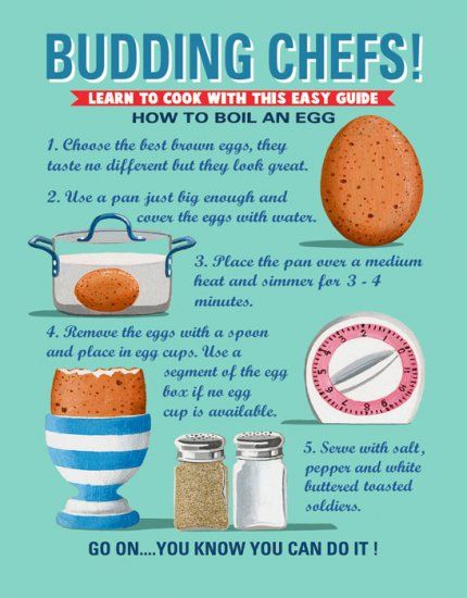 Targa Metallica Budding Chefs