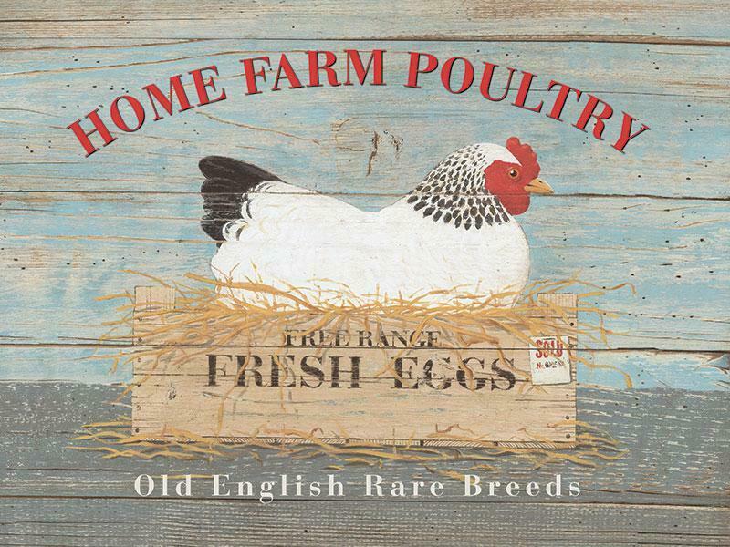 [9855455662] Fresh Eggs