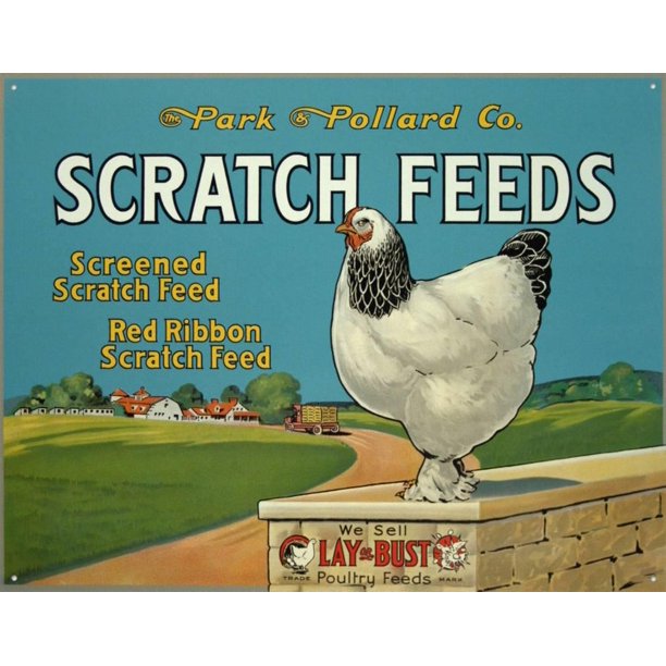 Scratch Feeds