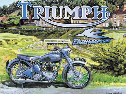[92200122120] Triumph Thunderbird