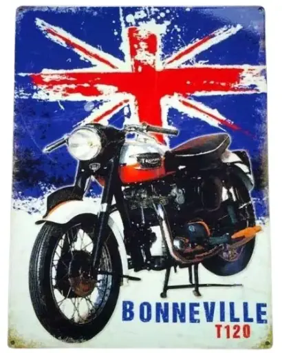 [9220785021] Triumph Bonneville T120