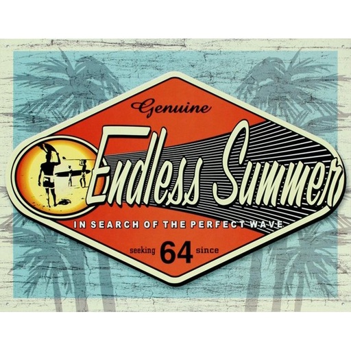 [605279111381] Surfing Endless Summer